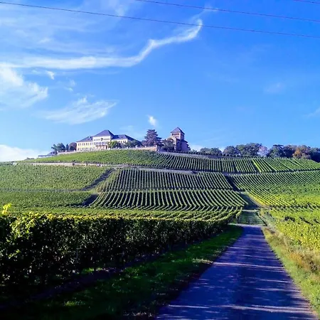 Rheingauzeit 厄斯特里希·温克尔