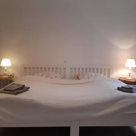 Apartment Rheingauzeit *