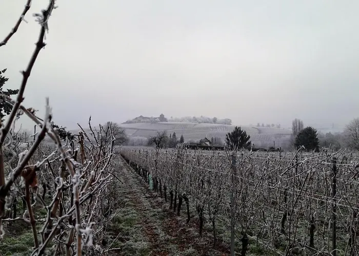 Rheingauzeit 公寓 厄斯特里希·温克尔