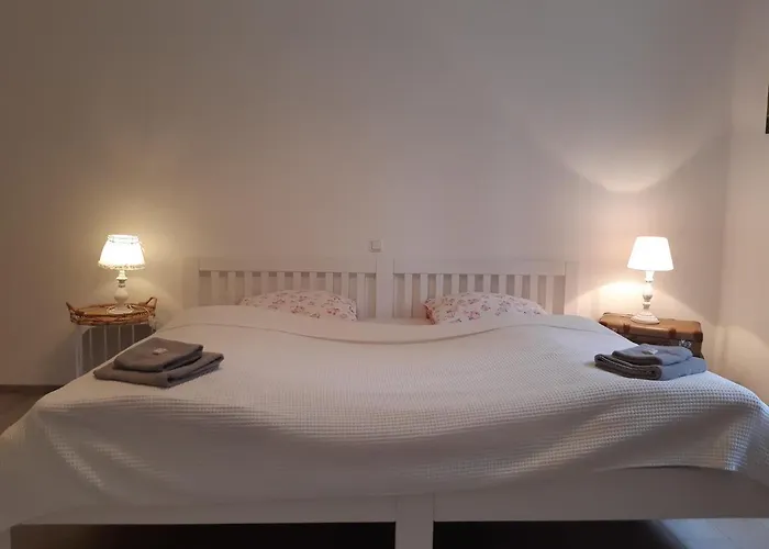 Appartement Rheingauzeit *